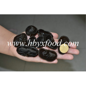 Chinese Dry Black Fungus with Nice Package Box